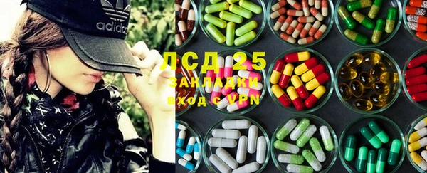 прущие грибы Козловка