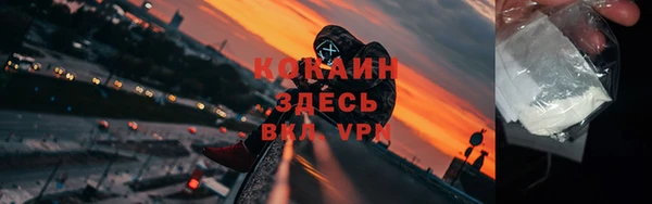 прущие грибы Козловка