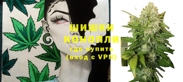 дмт Козельск