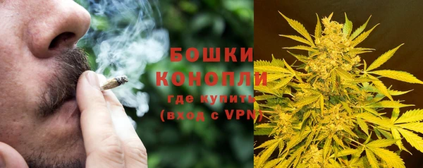 прущие грибы Козловка