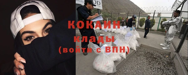 прущие грибы Козловка